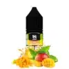 ICE Mango Saltnic - N One Salt