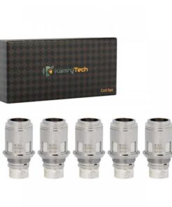 Kamry K1000 Plus Coils