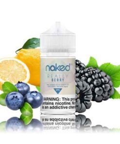 Naked 100 Really Berry