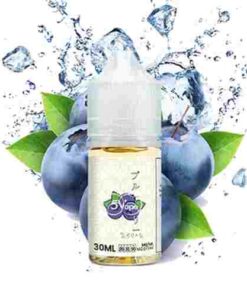 Tokyo Iced Blueberry Saltnic