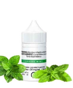 Spring Mint Salt - Salt Nix