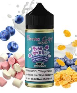 Bloo Berry 100ml - Ferrum City